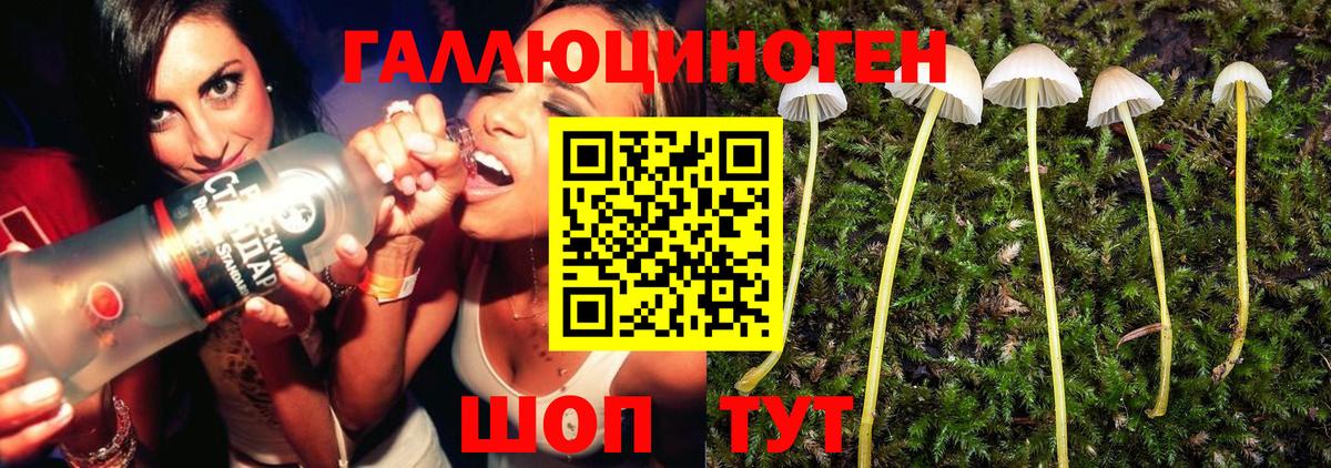 Галлюциногенные грибы мухоморы Усинск